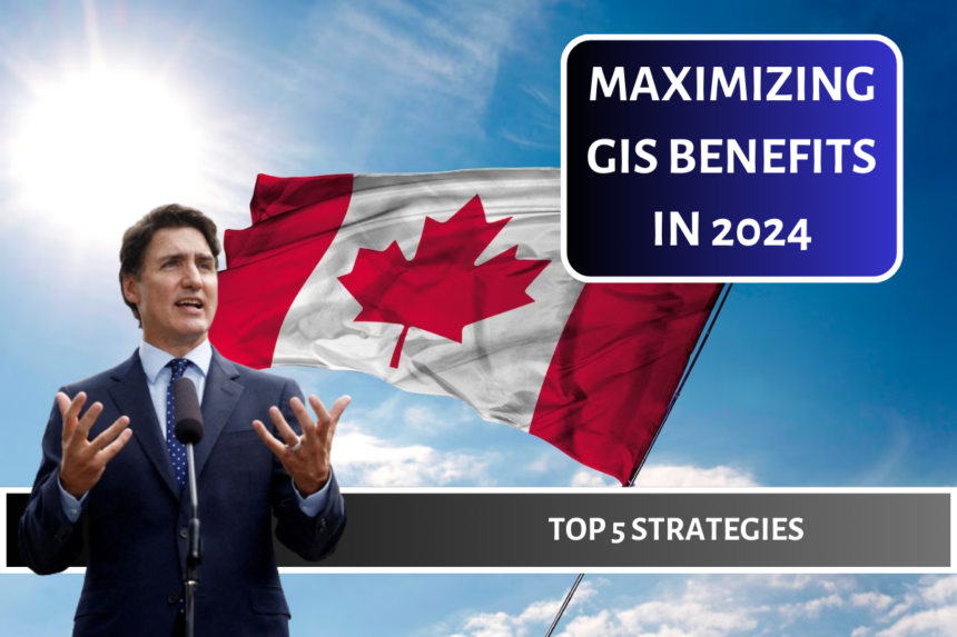 Maximizing GIS Benefits in 2024