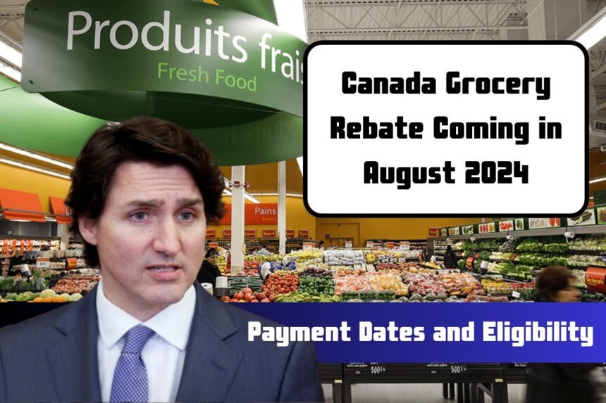 Canada Grocery Rebate Coming in August 2024: Fixed Amount, Payment Dates and Eligibility